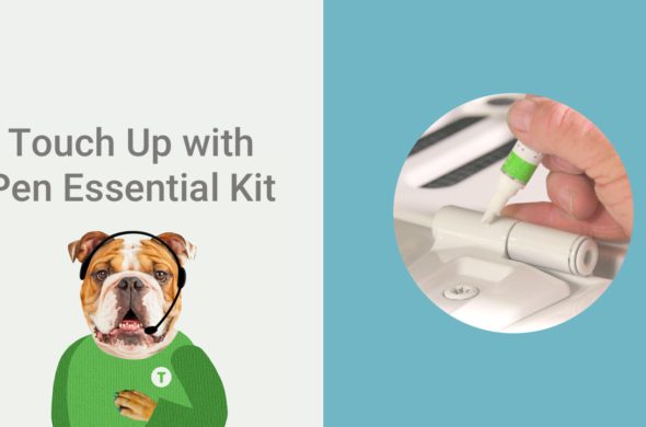 A graphic design of a dog wearing a headset with a mic and a person using the TouchUpDirect product