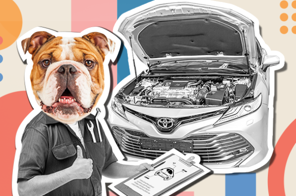 Cartoon visual of a dog mechanic fixing a toyota car