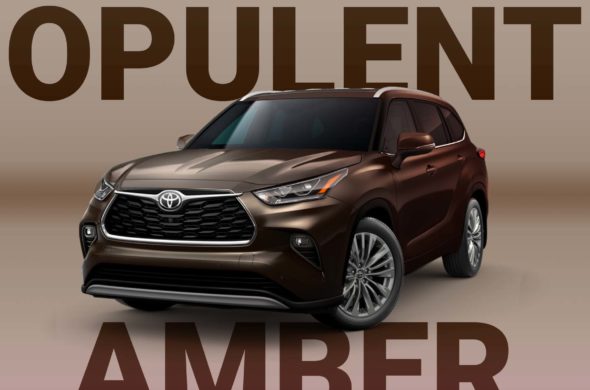 All About Opulent Amber!